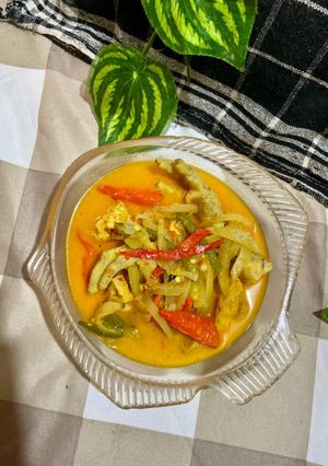 Foto resep 514. Kuah Lontong Sayur