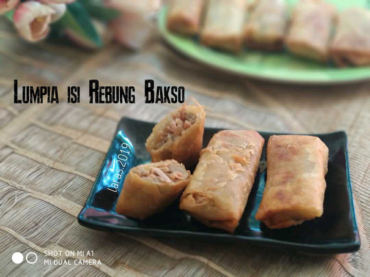 Cara Buat Lumpia isi Rebung Bakso Bunda Pasti Bisa