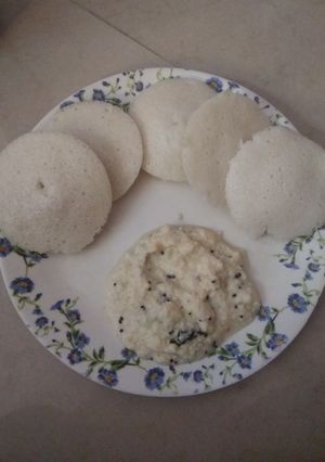 A picture of Idli and coconut chutney.