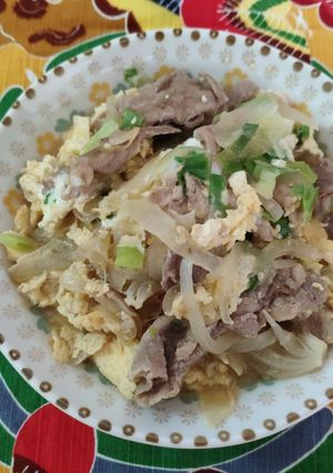 簡單料理-豬肉丼飯 的食譜成品照片