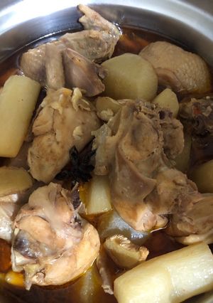 蘿蔔焢雞肉 的食譜成品照片