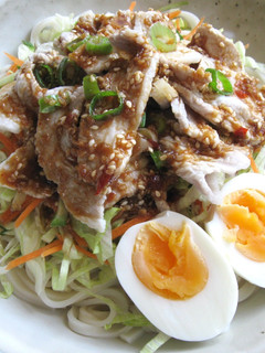 A picture of Cold Pork Salad Udon.