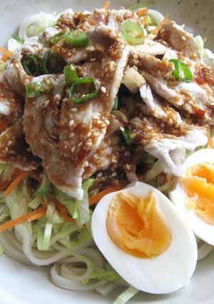 A picture of Cold Pork Salad Udon.