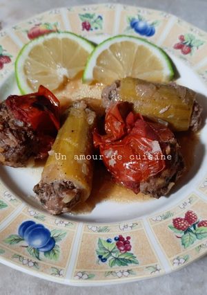 Une photo de Dolma 🍋