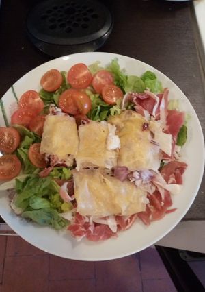 Une photo de Briques De Chèvre Au Jambons Cru,