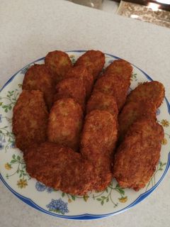 عکسی از دستور کتلت