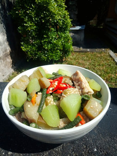 Foto resep Sayur Lodeh Bumbu Racik Instan