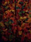 Fruity tutti treats