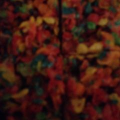 A picture of Fruity tutti treats.