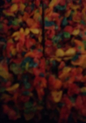 A picture of Fruity tutti treats.