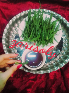 عکسی از دستور شنگ محلی