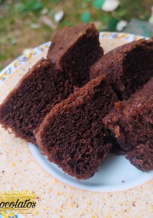 Foto resep Bolu kukus chocolatos, takaran sendok