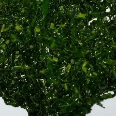 A picture of Sauteed kales.