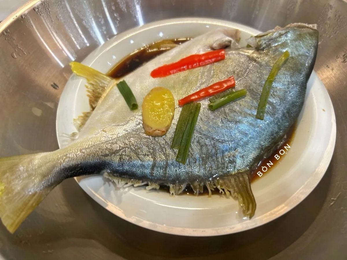 Cá Chim Hấp