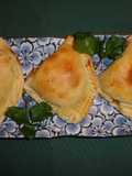 EMPANADAS DE PAPAS (SAMOSAS, INDIA). JON STYLE