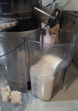 Foto principal de Bebida de avena casera en licuadora de extracción lenta