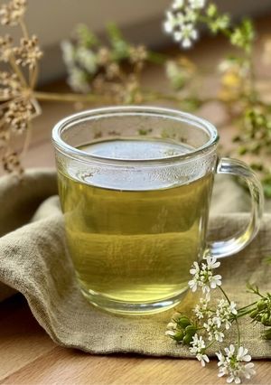 Hình của món 🌱 Nước Ngò Già Thanh Nhiệt.