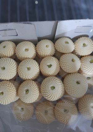عکسی از دستور شیرینی برنجی