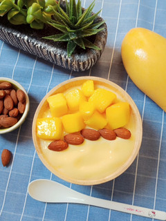 A picture of Mango Yogurt Smoothie.