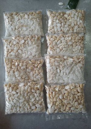 Foto resep HomeMade Tempe