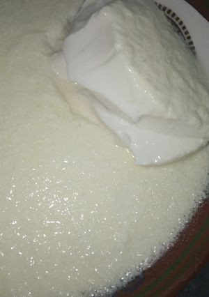 A picture of Homemade dahi.