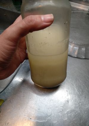 Una foto de Aceite de ajo