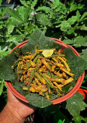A picture of Crispy Crunchy Bhindi.