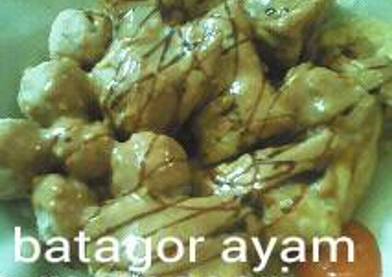 Batagor ayam