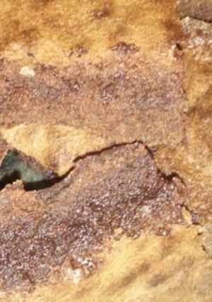 Una foto de Magnífico brownie con cacao 😍🍫