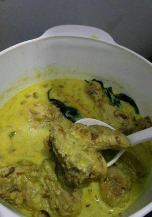 Foto resep Ayam Opor