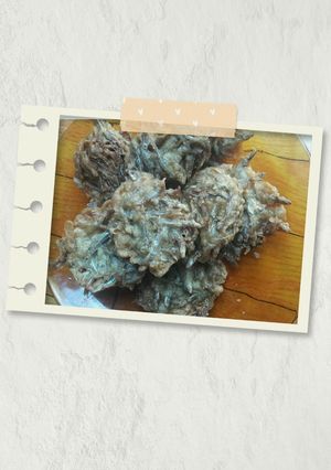 Foto resep 11. Teri goreng tepung