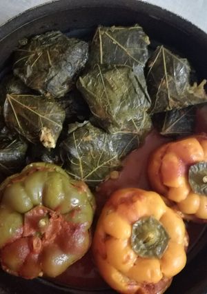 عکسی از دستور دلمه