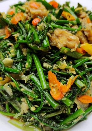 Foto resep Tumis Pakis + Tempe