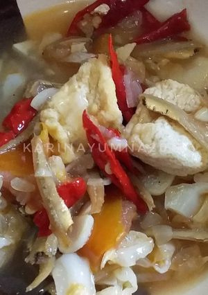 Foto resep Tumis Tahu Kol dan Teri