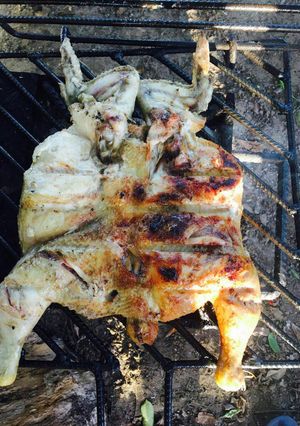 A picture of Braaied chicken.
