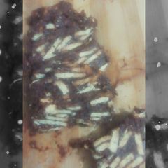 A picture of Cold cake.