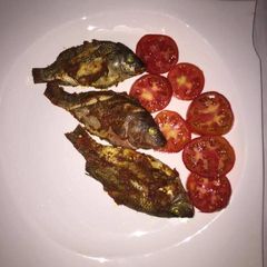 A picture of Grilled fish with fresh tomatoes.