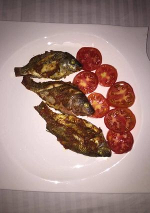 A picture of Grilled fish with fresh tomatoes.