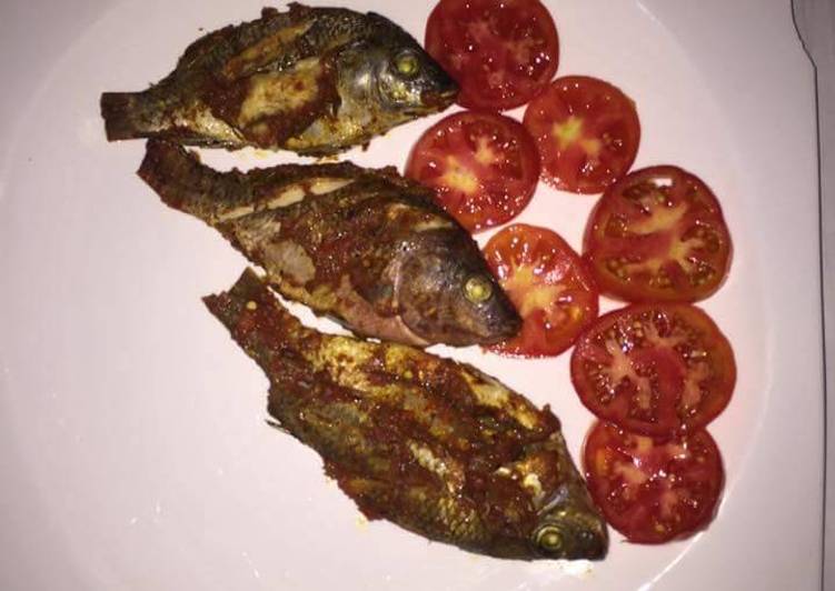 Grilled fish with fresh tomatoes