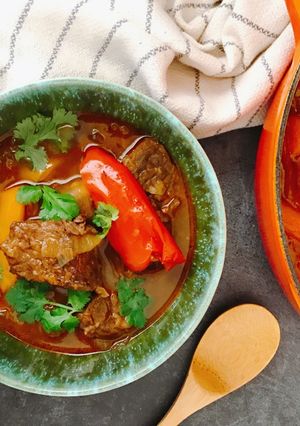 匈牙利紅椒燉牛肉湯 的食譜成品照片