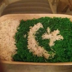 A picture of Sweet Rice decorated as Pakistani flag.