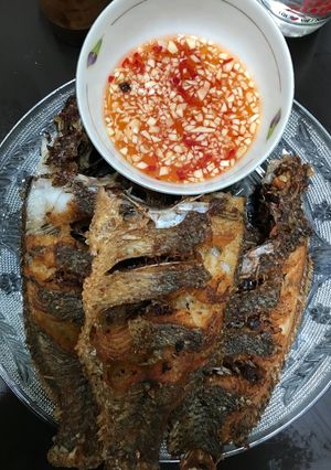 Hình của món Cá chiên chấm mắm tỏi ớt.