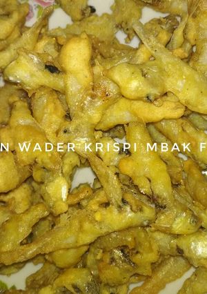 Foto resep Ikan wader krispi