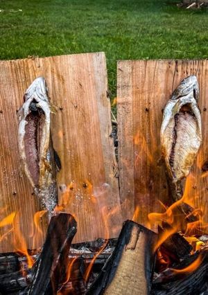 Una foto de Plankefisk