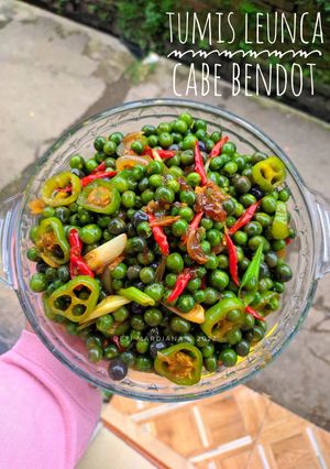 Foto resep Tumis Leunca Cabe Bendot