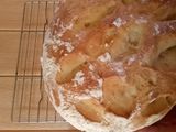 Easy Artisan Bread No egg No Butter needed 😁