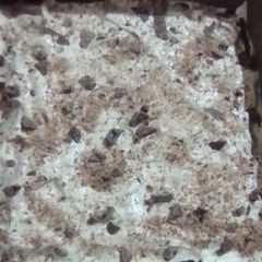 A picture of Coffee Cake 🍰🍰 ☕☕.
