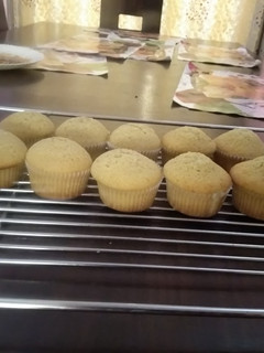 A picture of Vanilla cupcakes.