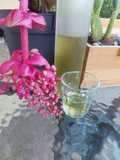Liquore alla salvia