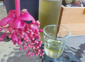 Foto di Liquore alla salvia
